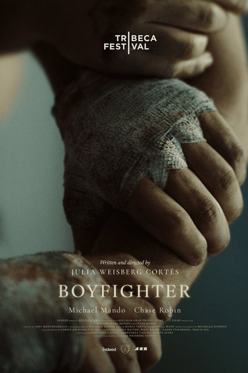 BOY FIGHTER
