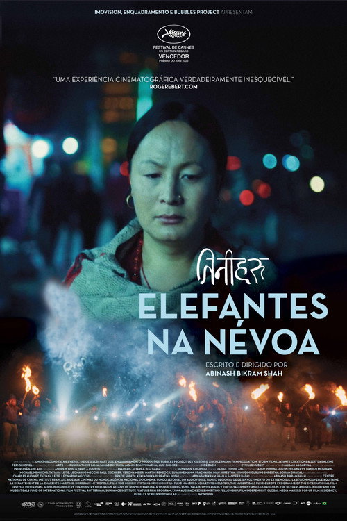 Elefantes na Névoa