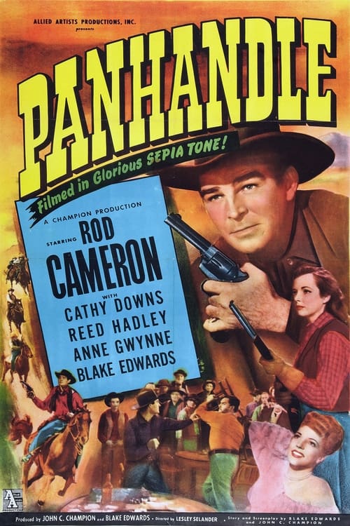 Panhandle poster