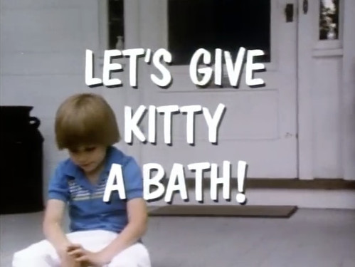 Let's Give Kitty a Bath