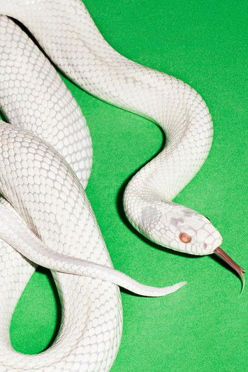 privatemusic.tv poster