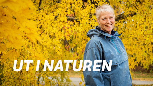 Ut i naturen — Fondos 4
