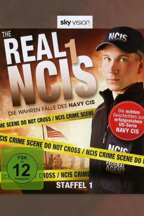 Real Case Files of The US poster