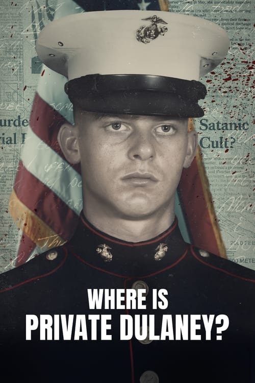 Poster Where Is Private Dulaney?