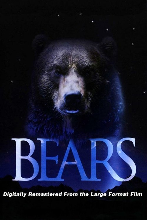 Medvék movie poster player