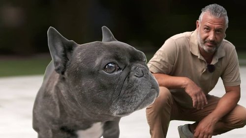 Image de l'épisode 1