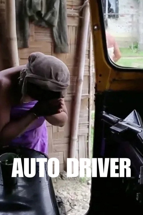 Auto Driver