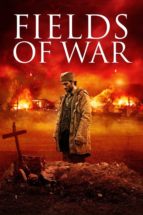 Fields of War poster