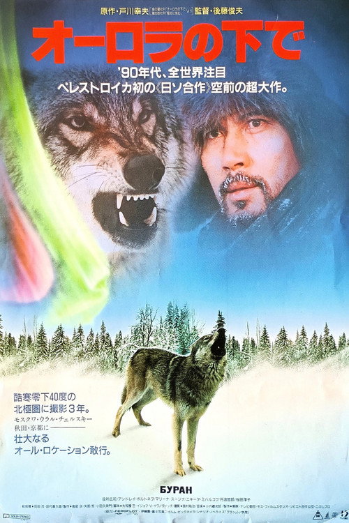 Aurora Borealis poster