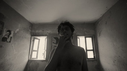 A Fly Floating In The Midst Of The Milk