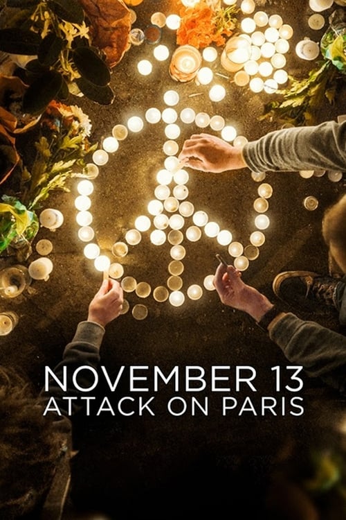 13 de Noviembre: Terror en París poster