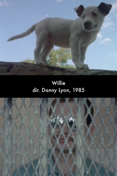 Willie movie poster player