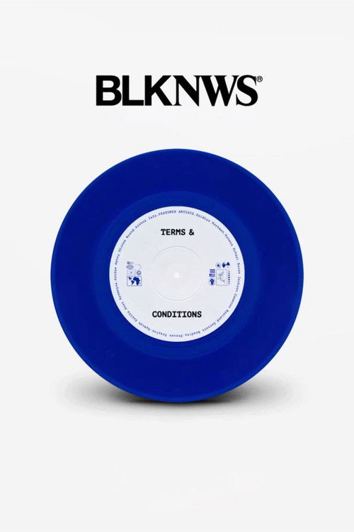 BLKNWS: Terms & Conditions poster