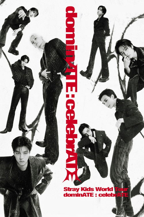 Beyond LIVE - Stray Kids World Tour〈dominATE : celebrATE〉 poster