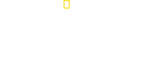 Wild Lapland