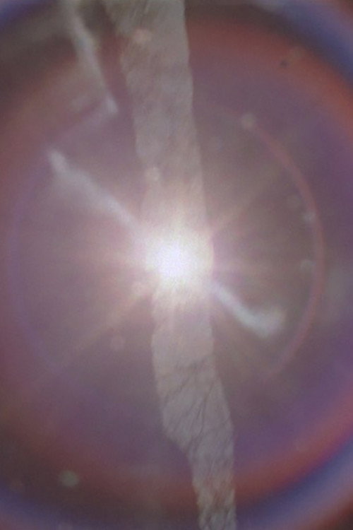 There is gold everywhere