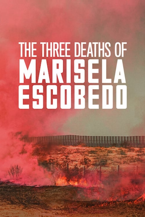 The Three Deaths of Marisela Escobedo Movie Poster Image