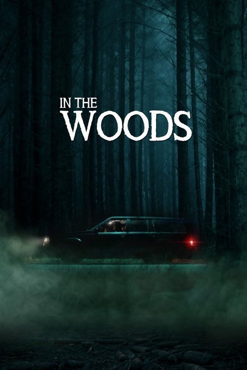 A worried father and his teenager daughter face inexplicable, threatening incidents when their car unexpectedly breaks down in the supposedly deserted woods.