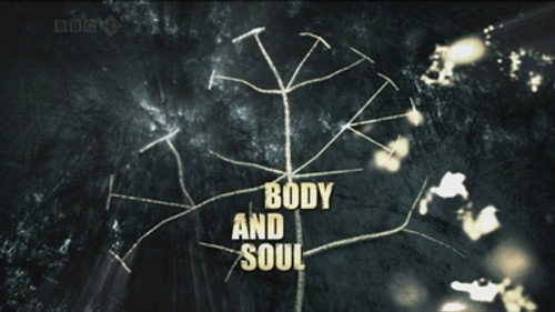 Body and Soul