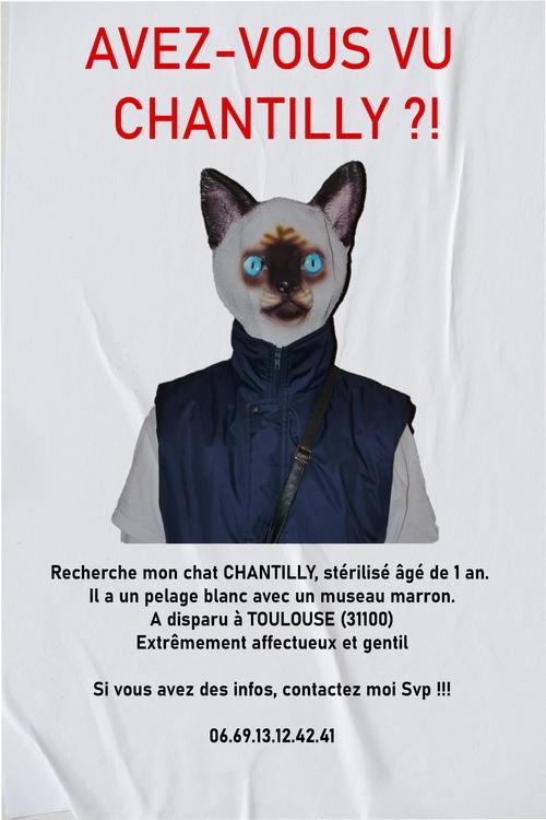 AVEZ-VOUS VU CHANTILLY ?! (2023)