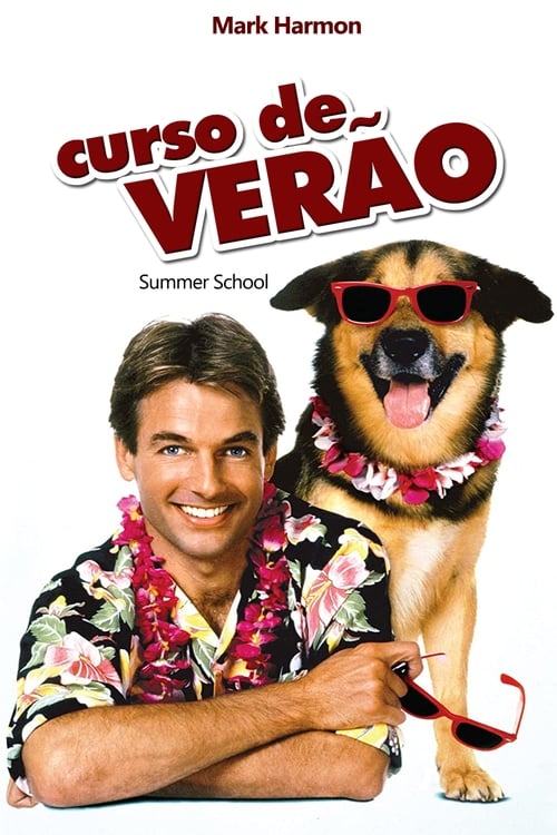 Curso de Verão