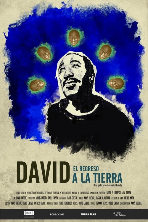 David. El regreso a la tierra (2017)