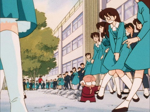 Photo 461
