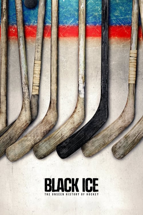 This incisive, urgent documentary examines the history of anti-Black racism in hockey, from the segregated leagues of the 19th century to today’s NHL, where Black athletes continue to struggle against bigotry.