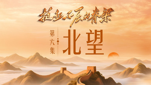 Episode 6