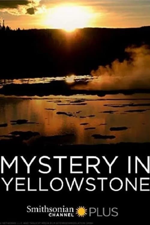 Mystery in Yellowstone 2015