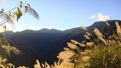 A Year in the Clouds