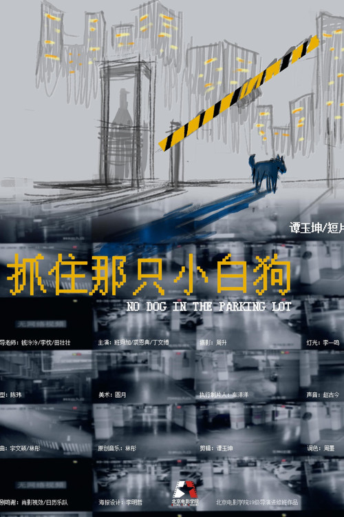 抓住那只小白狗
