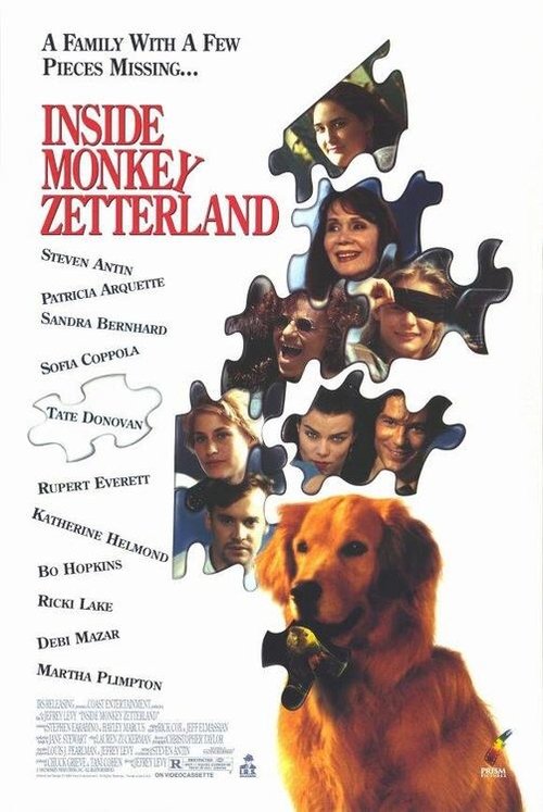 Poster 3