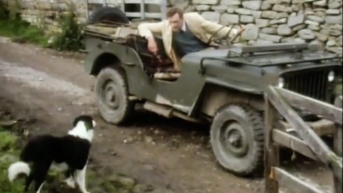 Image de l'épisode 11