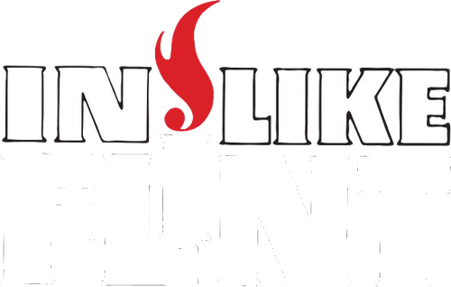 In Like Flint