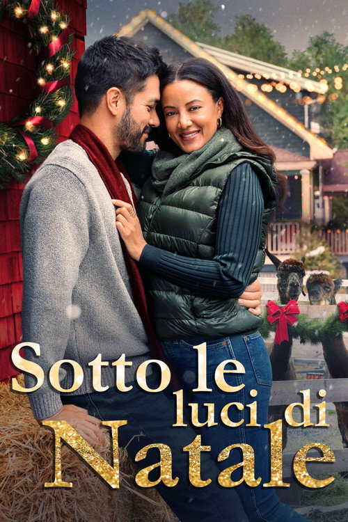Sotto le luci di Natale