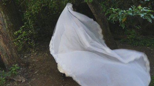 La Novia del Cerro Backdrop Blur