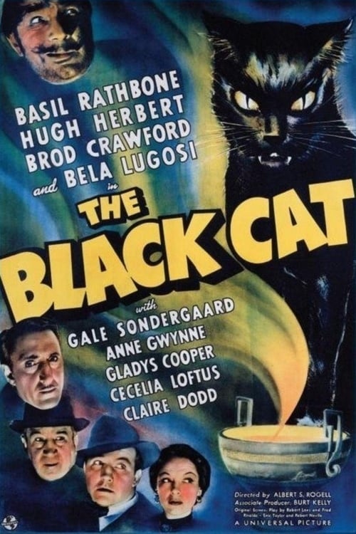 The Black Cat poster