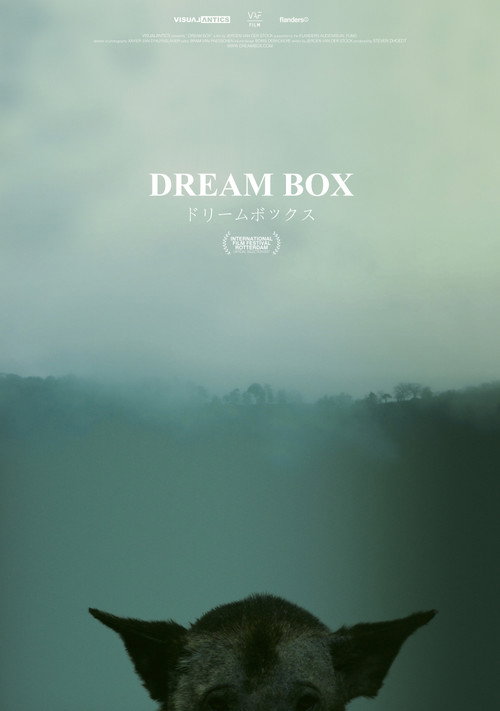 Dream Box