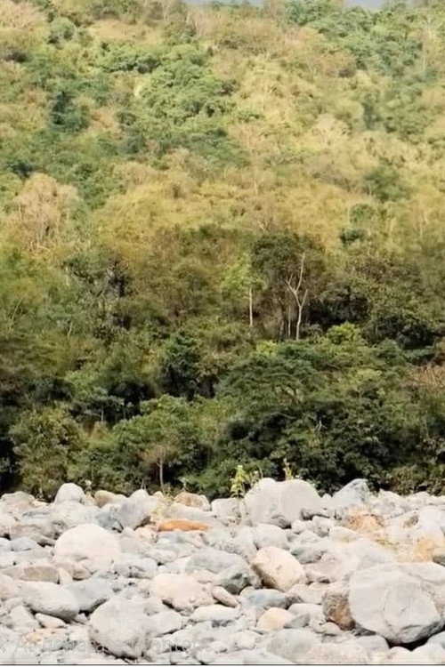 Rangtay Ti Tiempo poster