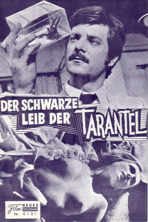 Der schwarze Leib der Tarantel