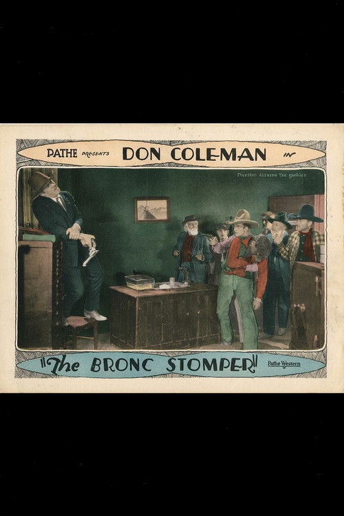 The Bronc Stomper - FİLM Afişi