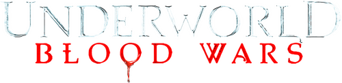 /4IzFwlbIfyTmAxoJEOZ0Ezqf77h.png