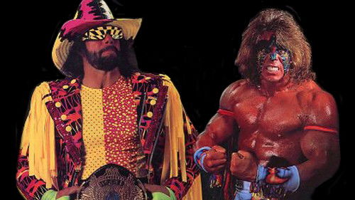 WWE SummerSlam 1992 cover