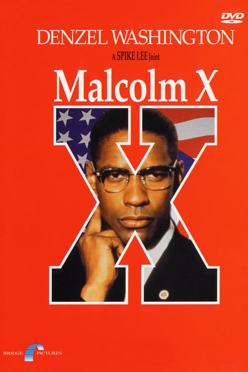 Malcolm X 1993