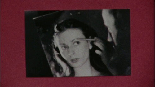 Collected by Wendy still