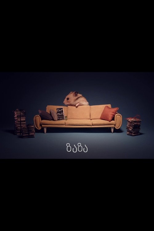 მსუნაგები