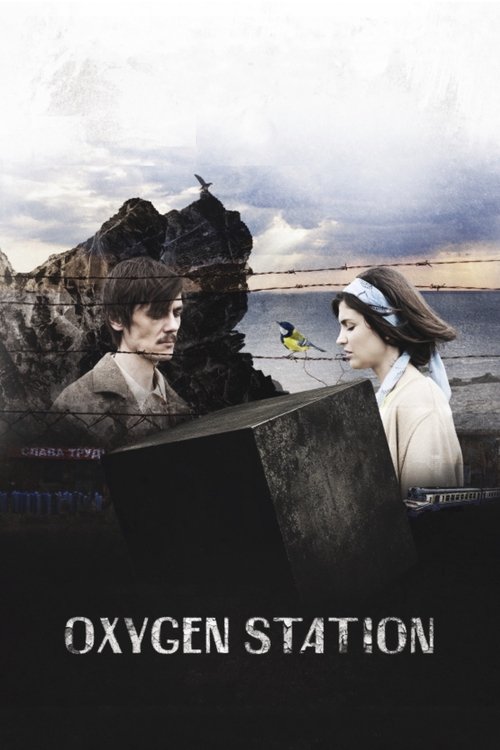 Poster 3