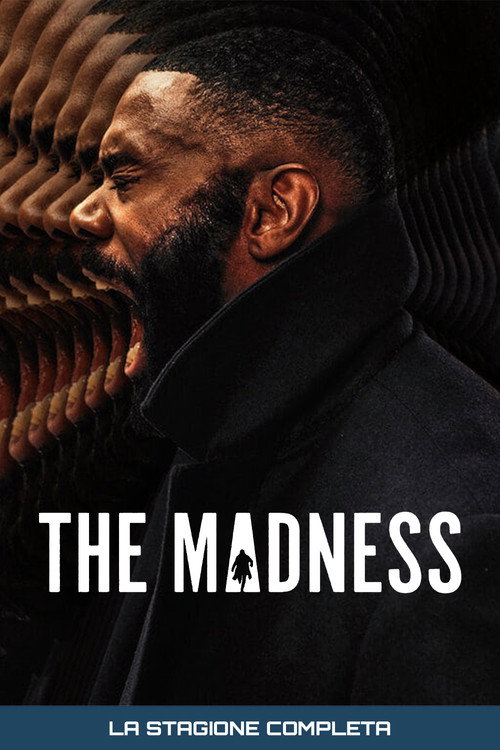 Locandina di The Madness – Stagione 1