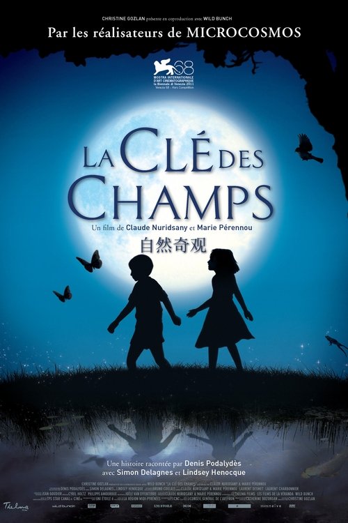 小宇宙3：自然奇观